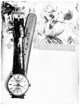 Elgin 1962 152.jpg